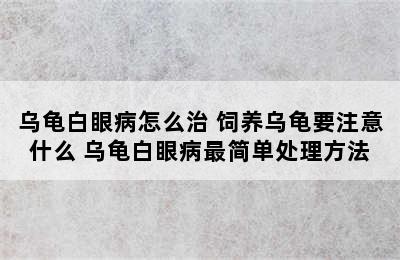 乌龟白眼病怎么治 饲养乌龟要注意什么 乌龟白眼病最简单处理方法